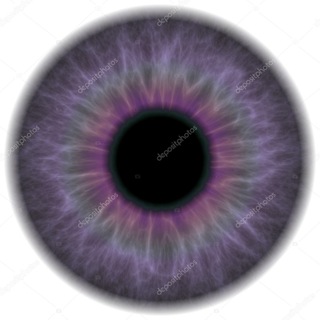 Purple Eye Iris