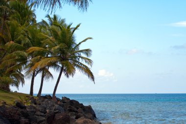 Luquillo Beach in Puerto Rico clipart