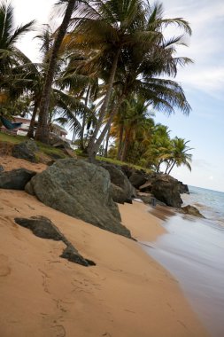 Luquillo City Beach clipart