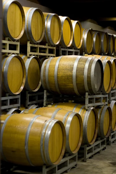 Şarap mahzeni varil — Stok fotoğraf