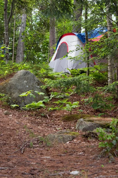 Las namiot camping — Zdjęcie stockowe