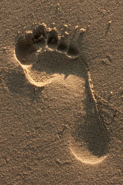 印在沙子里的脚 — 图库照片