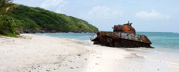 Пляжный танк Фламенко — стоковое фото