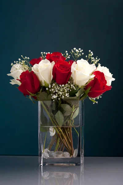 stock image Red and White Roses in a Vase