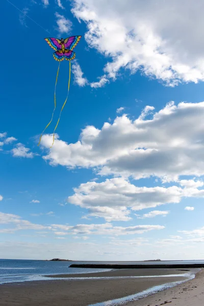 Repülés a Kite a strandon — Stock Fotó
