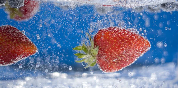 stock image Summer Berries