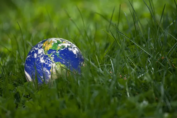 La Tierra yaciendo en la hierba — Foto de Stock