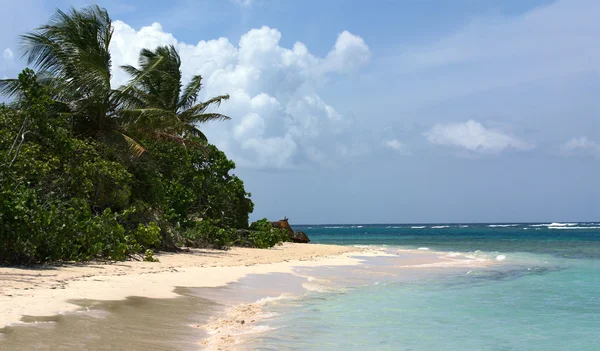 Φλαμένκο παραλία culebra — Φωτογραφία Αρχείου
