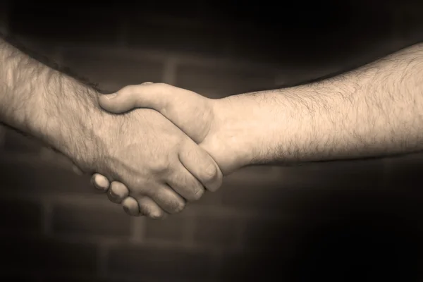Firm Handshake — Stock Photo, Image