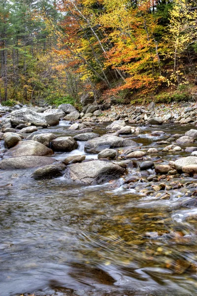 Podzimní listí řeky — Stock fotografie