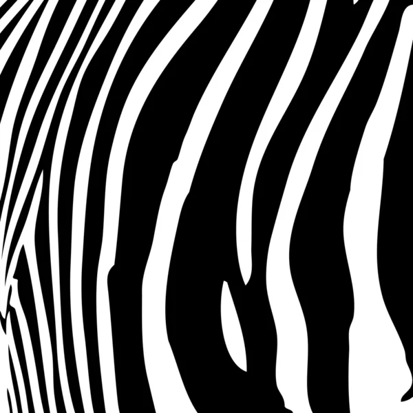 Zebra ränder vektor — Stock vektor