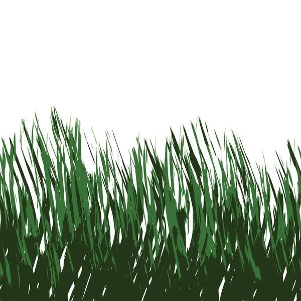 Vetor de grama verde — Vetor de Stock