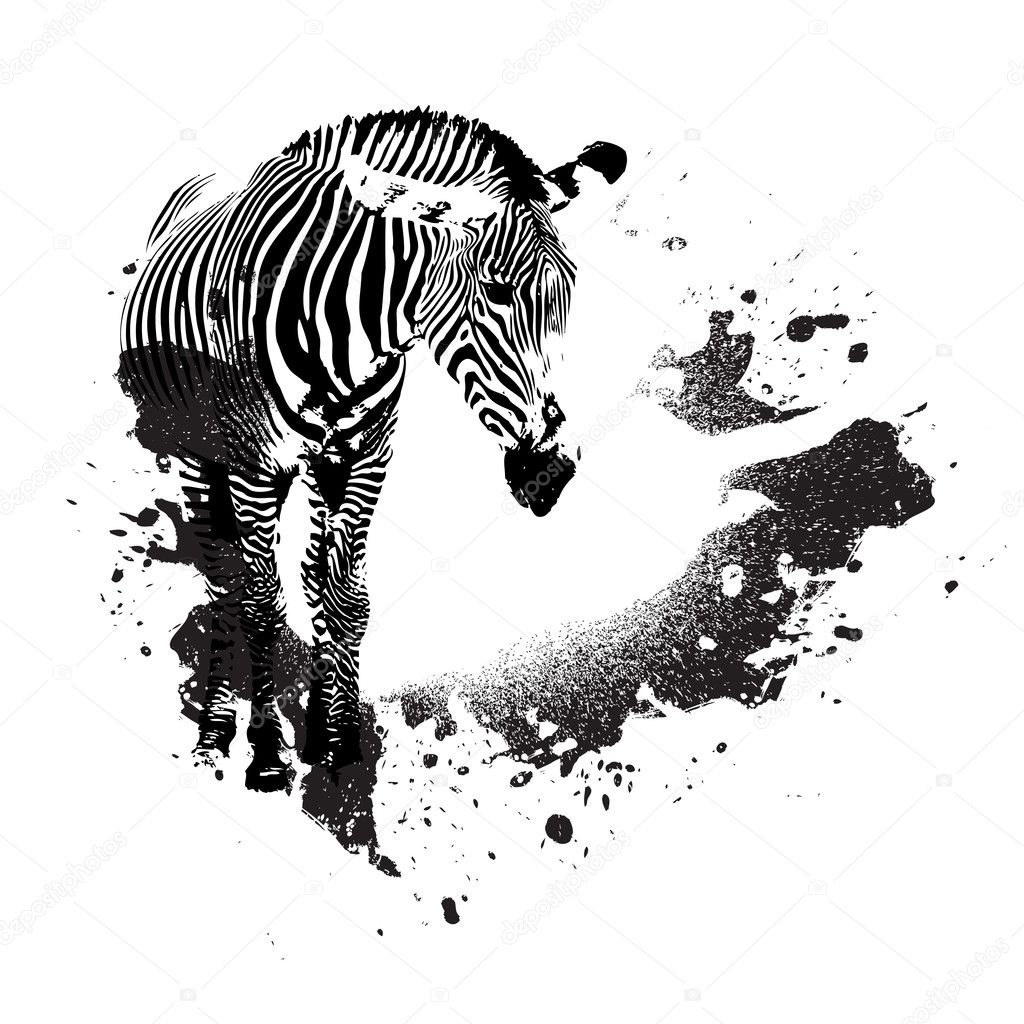 Grungy Zebra