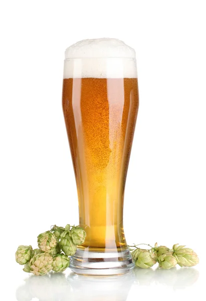 啤酒在玻璃和绿色跃点上白色隔离 — 图库照片