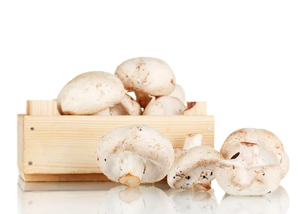 Frische Pilze in einer Holzkiste isoliert auf weiß — Stockfoto