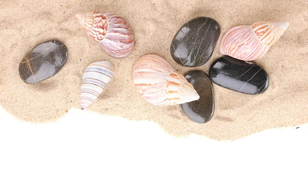 Seashells and stones on sand — Stock Photo, Image
