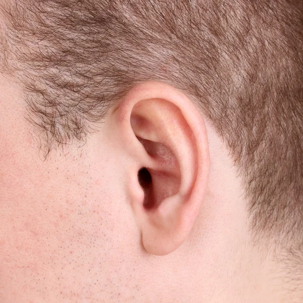 Emberi fül közelről elszigetelt fehér — Stock Fotó