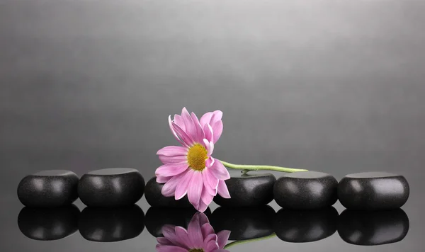 Wellness kameny a květiny na šedém pozadí — Stock fotografie