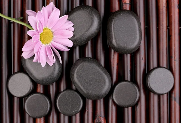 Wellnesssteine und Blume auf Bambusmatte — Stockfoto