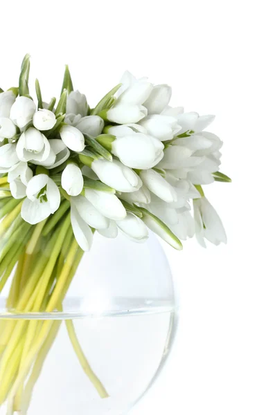 束美丽的白色上孤立的透明花瓶里五彩缤纷 — 图库照片