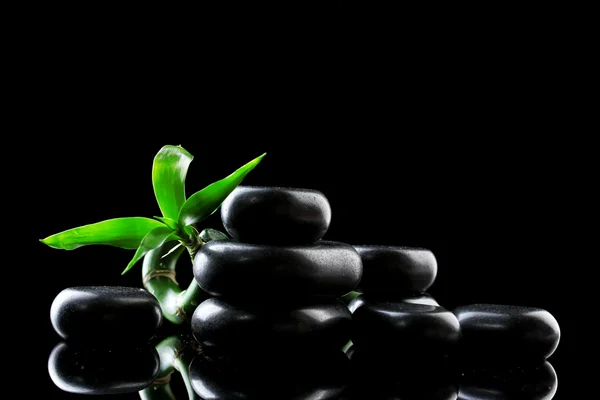 Wellness kameny a zelený bambus na šedém pozadí — Stock fotografie