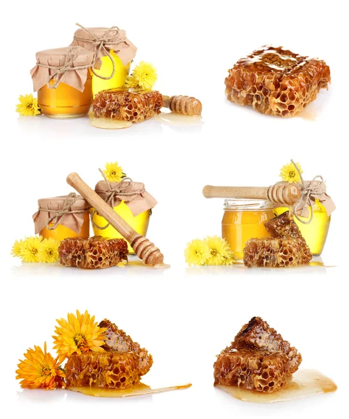 Un collage de algunas composiciones tarros de miel y el panal aislado en blanco — Foto de Stock