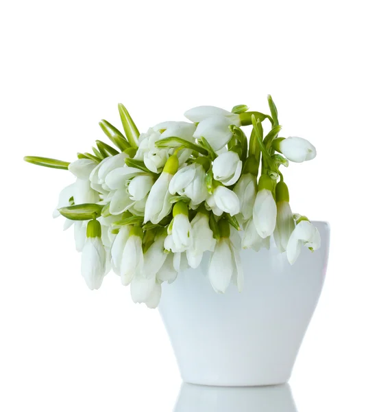 白で隔離される花瓶の snowdrops の美しい花束 — ストック写真