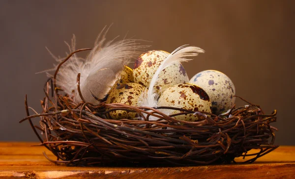 Uova di quaglia in nido su tavolo di legno su sfondo marrone — Foto Stock
