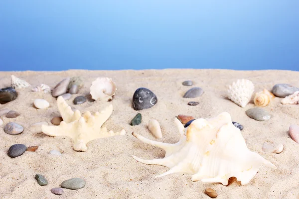 貝殻や砂の上のヒトデ — ストック写真