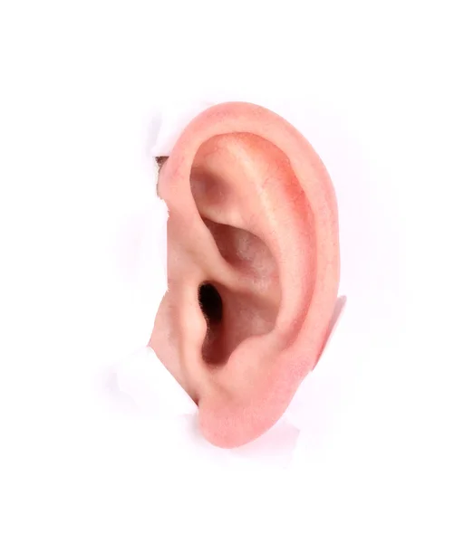 Human ear peeping out from white paper — Stock Photo, Image