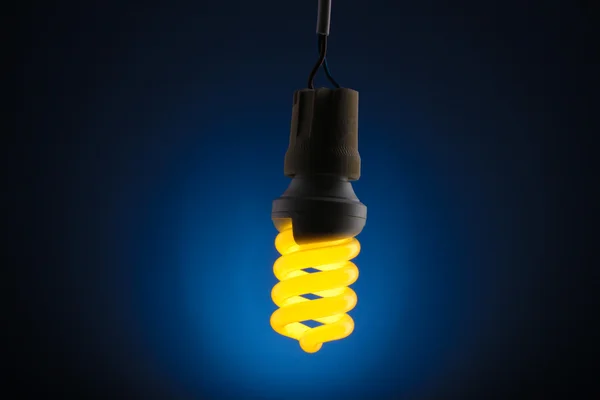 Зажженная энергосберегающая лампочка на синем фоне — стоковое фото