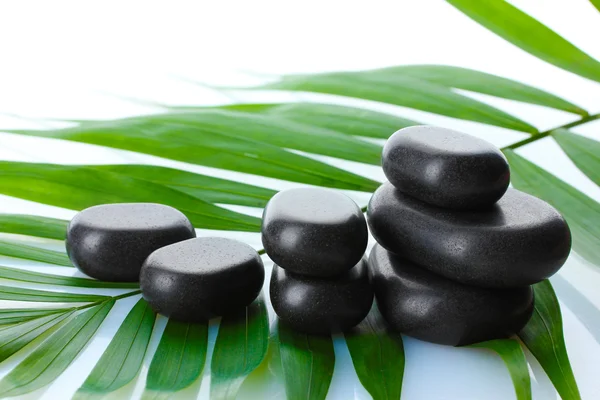 Wellness-Steine auf grünem Palmblatt isoliert auf weißem Grund — Stockfoto