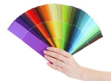 Hand holding bright palette of colors isolated on white clipart