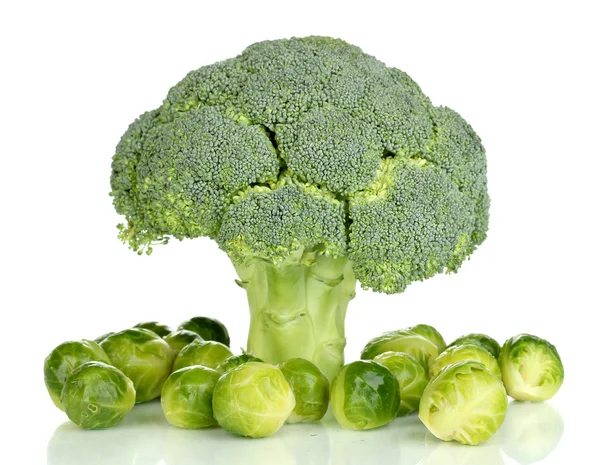 BrusseIs segar tumbuh dan brokoli terisolasi pada putih — Stok Foto