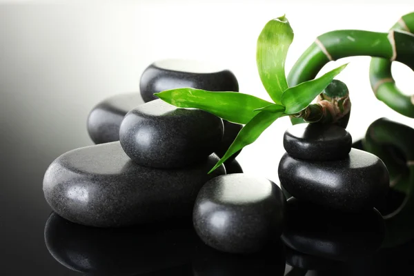 Wellness kameny a zelený bambus na šedém pozadí — Stock fotografie