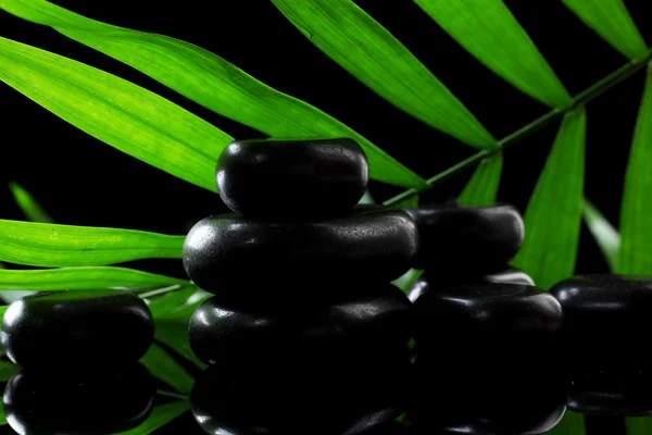 Spa 石头和黑色背景上的绿色的棕榈叶 — 图库照片