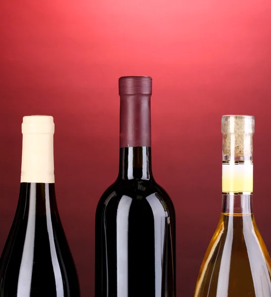 Kırmızı zemin üzerine büyük şarap şişeleri — Stok fotoğraf