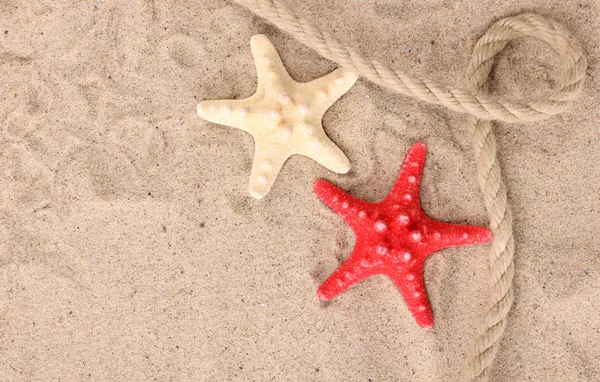 Starfishes with rope on sand — Stock Photo, Image
