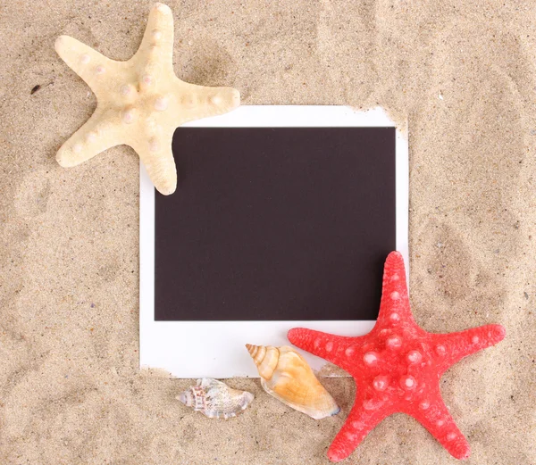 Foto med snäckor och sjöstjärnor på sand — Stockfoto