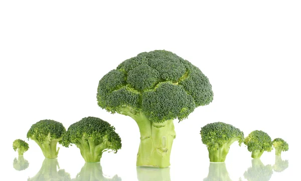 Fresh broccoli in line isolated on white — Stock Photo, Image