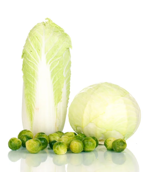 Yeşil ve beyaz izole Çin Lahanası taze Brüksel lahanası — Stok fotoğraf