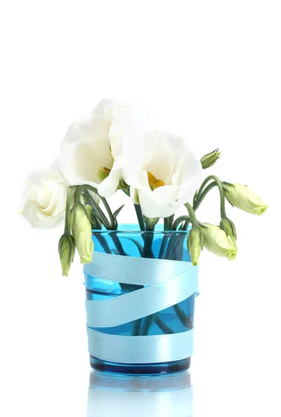 Piękne wiosenne kwiaty w wazonie niebieski na białym tle — Zdjęcie stockowe