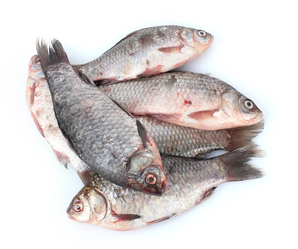 Pesci freschi isolati su bianco — Foto Stock