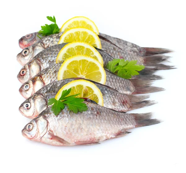 Свежие рыбы с лимоном и петрушкой изолированы на белом — стоковое фото
