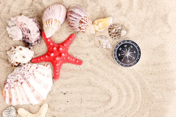 Conchiglie e stelle marine con kompass sulla sabbia — Foto Stock