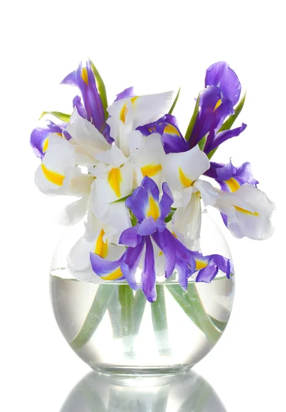 Schöne helle Schwertlilien in Vase isoliert auf weiß — Stockfoto