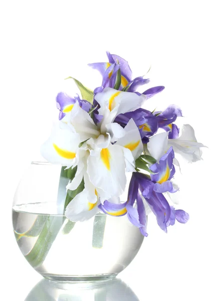 stock image Beautiful bright irises in vase isolated on white