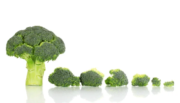 Świeże brokuły w linia na białym tle — Zdjęcie stockowe