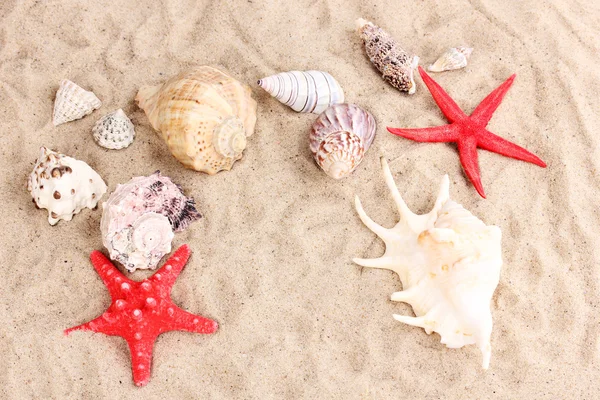 Conchas marinas y estrellas de mar sobre arena — Foto de Stock