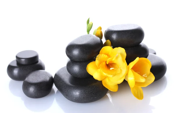 Wellness-Steine und gelbe Blume isoliert auf weiß — Stockfoto